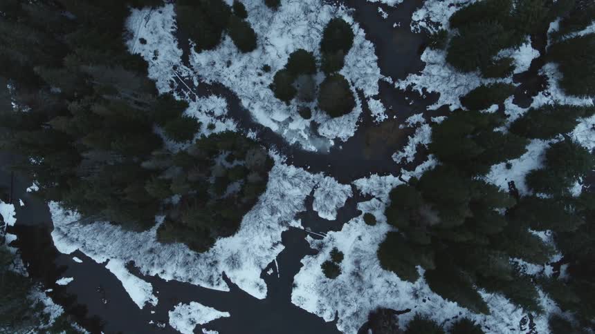 Top down view of streams and small ponds in a wintery alpine forest marsh