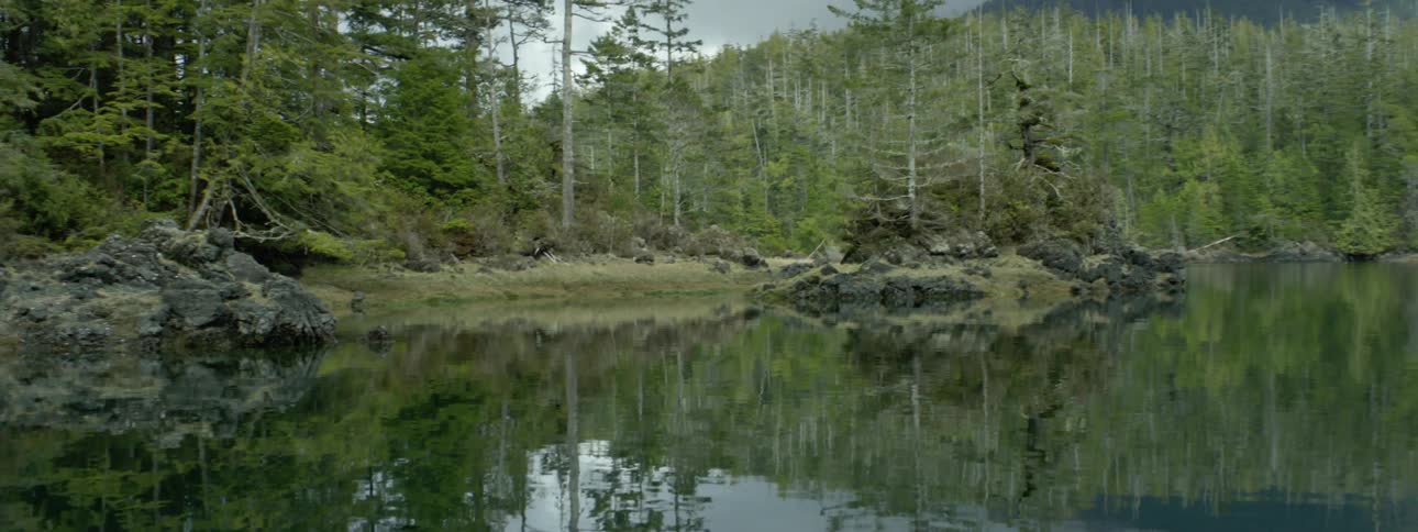 Shot of a lake that pans to a forest hills