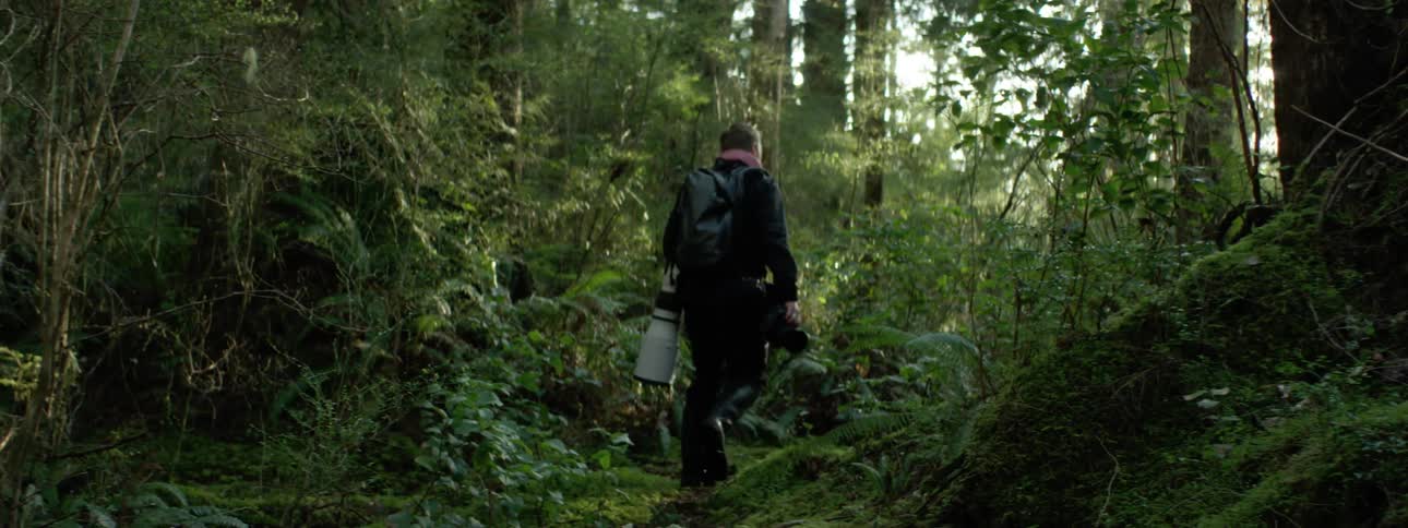 A man walks a trail through the forest carrying a camera and giant telephoto lens