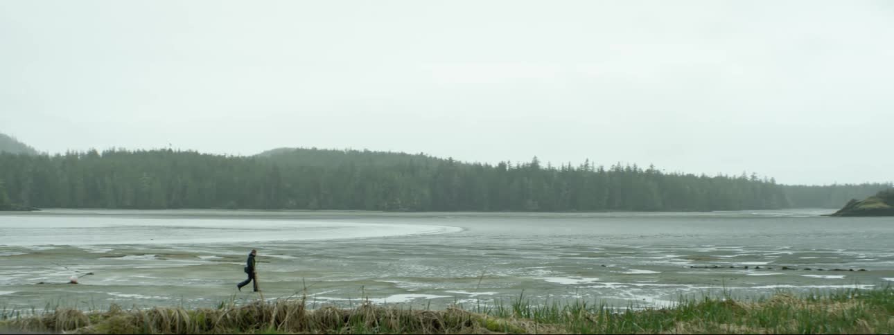 Photographer walking on the wet sand on the coast of a lake in the pine tree forest