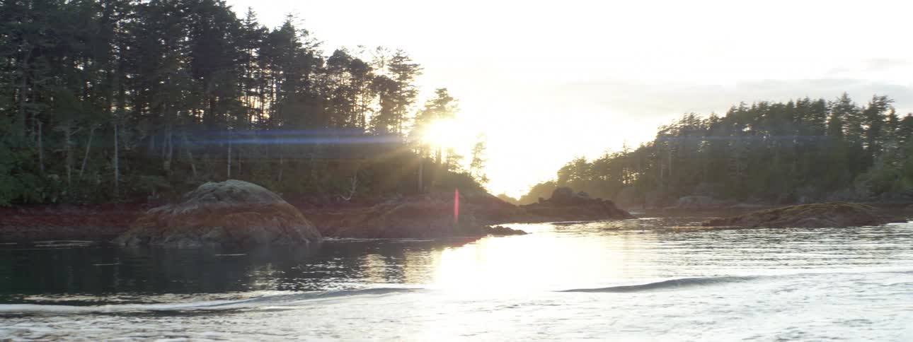 The sun is setting in the horizon above the forest and lake