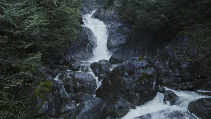 Descending a mountain creek as it cascades down a series of waterfalls surrounded by dense woods