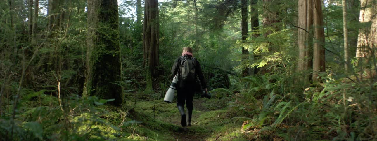 A photographer carrying a large camera walks through a forest