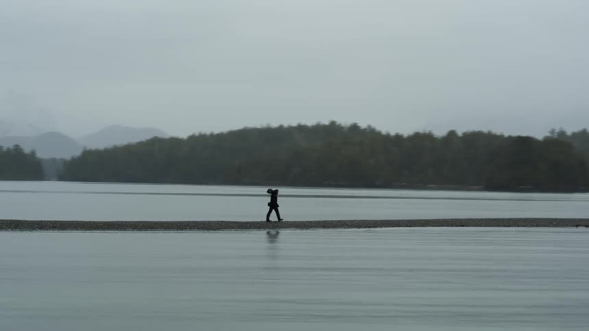 Birds fly over a man walking on land running through the lake