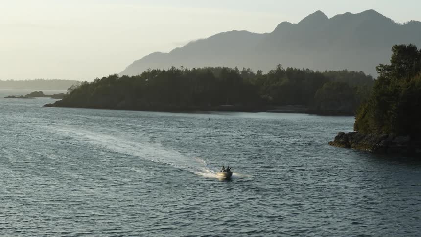 A boat travels through a body of water