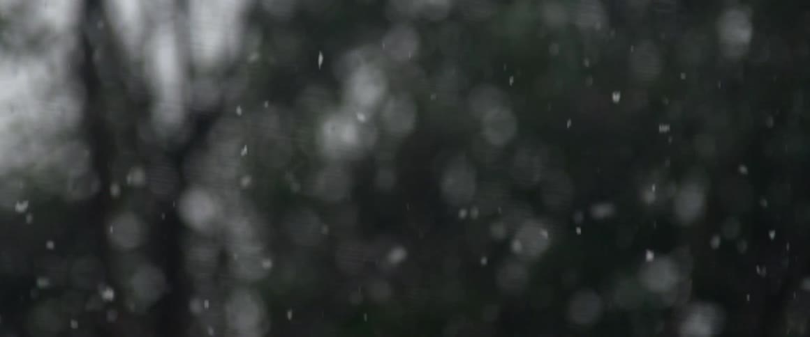 Snowflakes slowly fall from the sky on a winter day