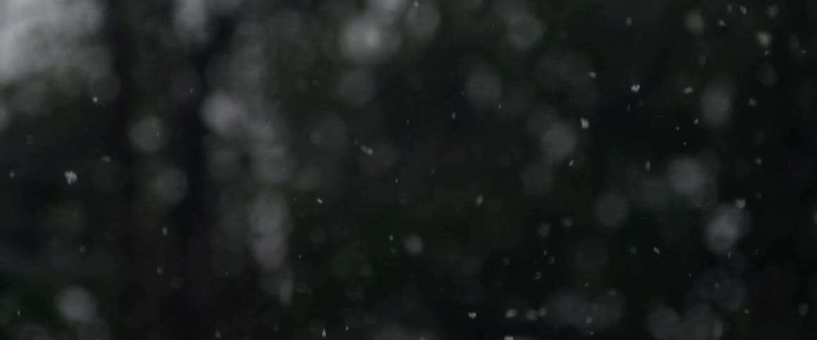 Snow flakes slowly fall towards the ground during the day