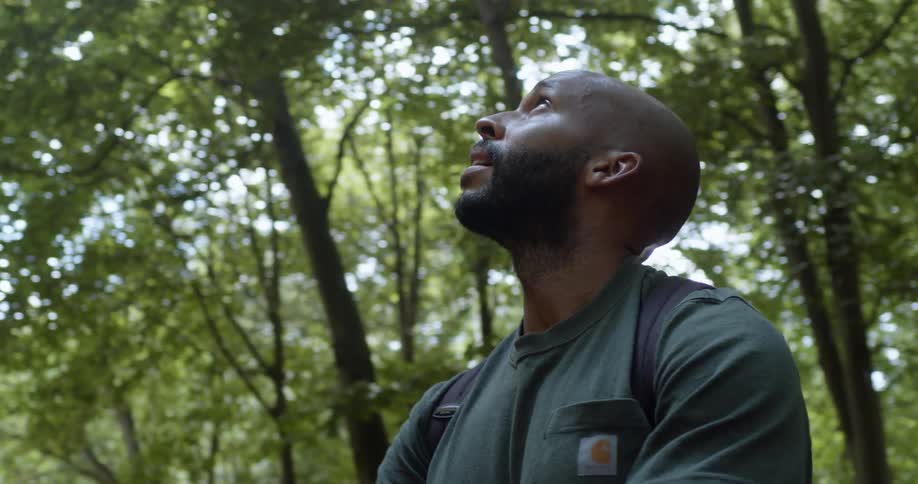 A man standing in a forest looks up at the trees