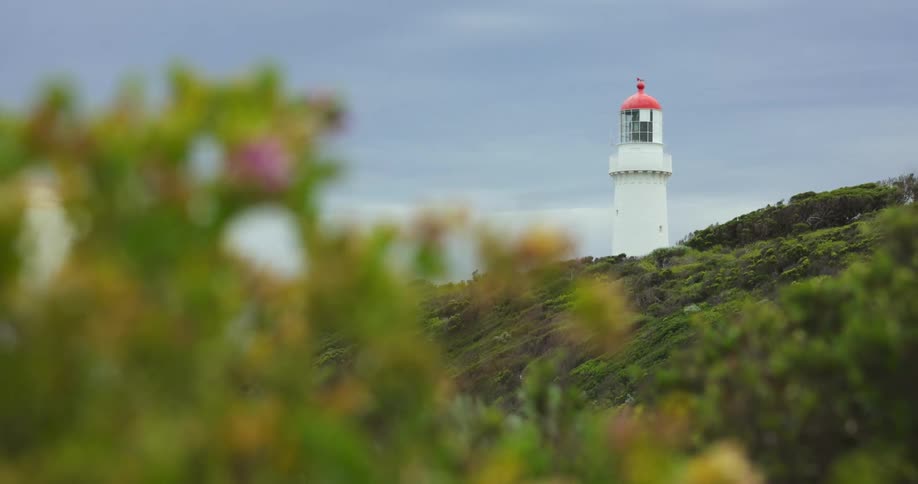 Lighthouse on a coastline on a hill with trees and grass