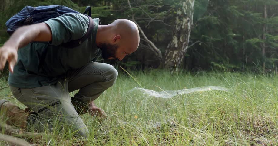Man hiking in the forest kneels to look at spiderwebs over the grass