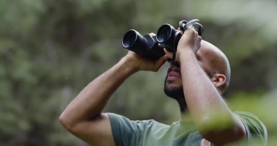 A man in a forest looks through binoculars