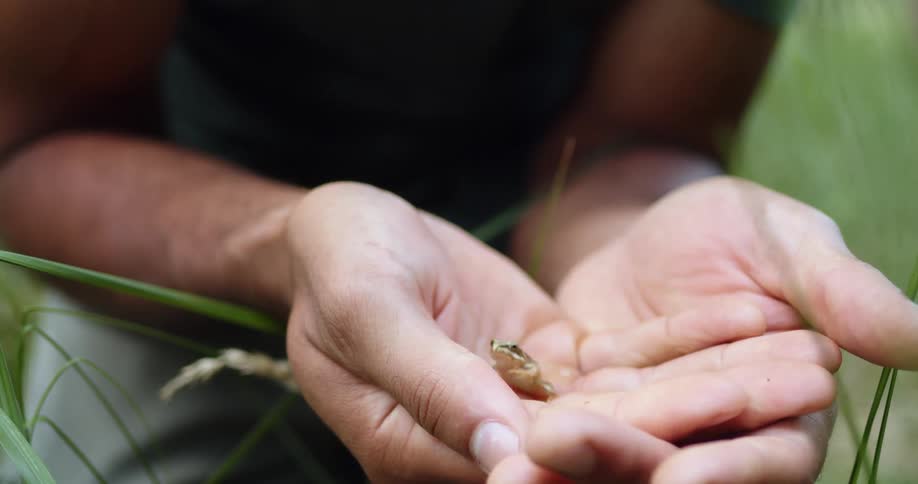 A man standing in a grass field open his hands to show a small frog