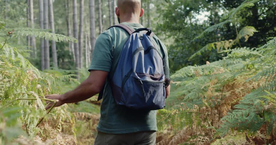 A man hikes through a forest wearing a backpack and carrying a walking stick