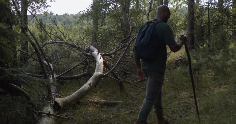 A black man walks through a forest with a walking stick wearing a backpack