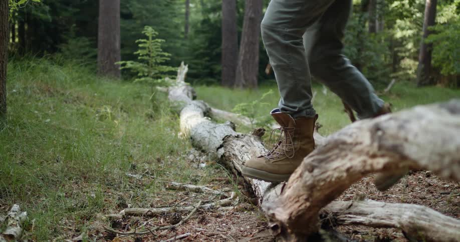 A person wearing hiking boots steps over a fallen tree on the ground