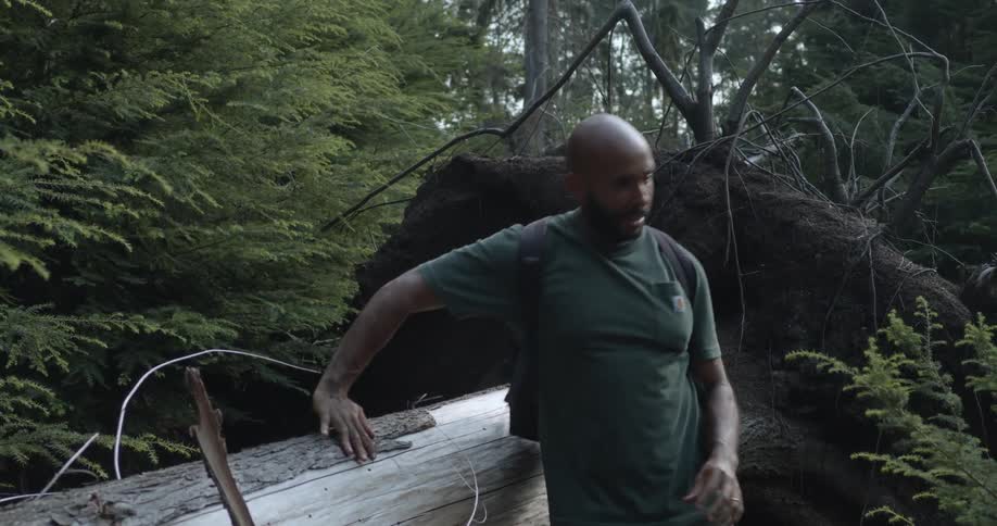 A man hiking in a forest climbs over a fallen tree trunk