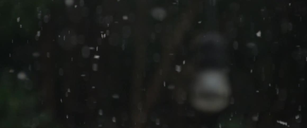 Snow falls past trees and light onto a bench
