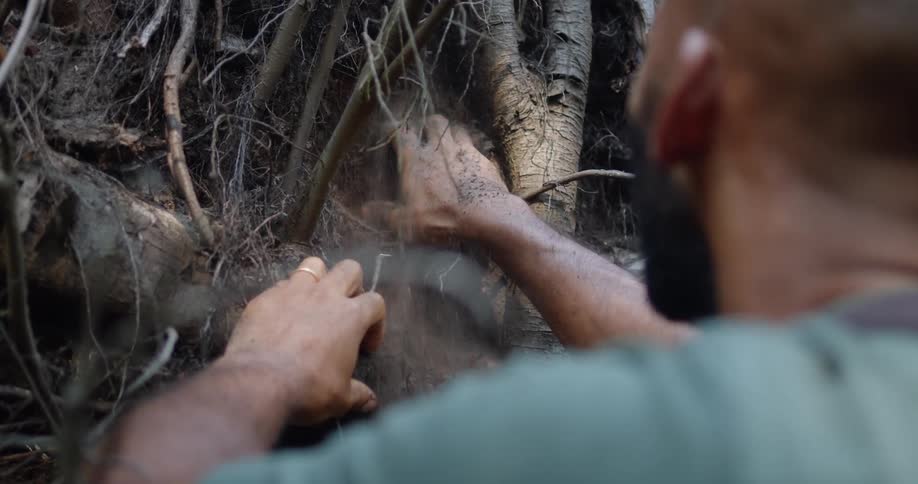 A bearded man wearing a backpack digs dirt between the tree roots with his hand