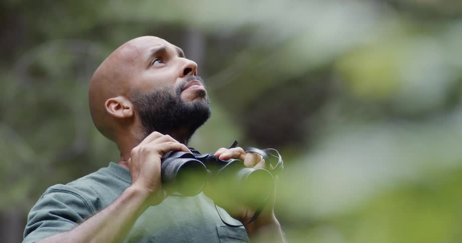 A man with binoculars in a forest with plants and trees