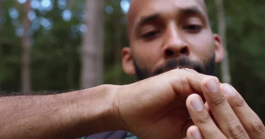 Bearded man looking at a spider over the back of his hand in the forest