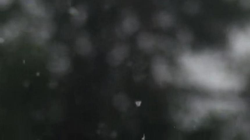 Snowflakes slowly fall towards the ground on a winter day