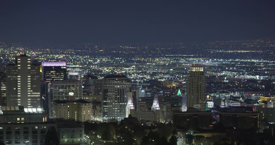 A city skyline with trees buildings and skyscrapers