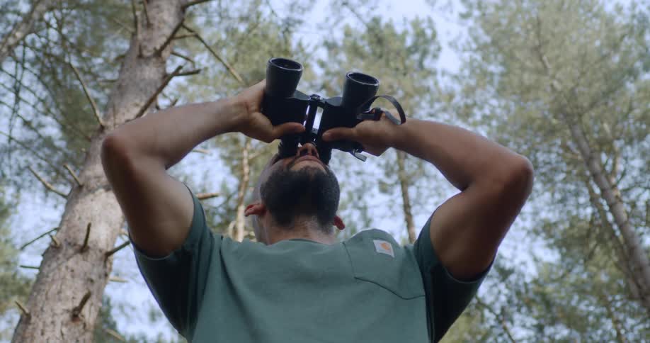 Man uses binoculars to look at the sky while standing in the forest