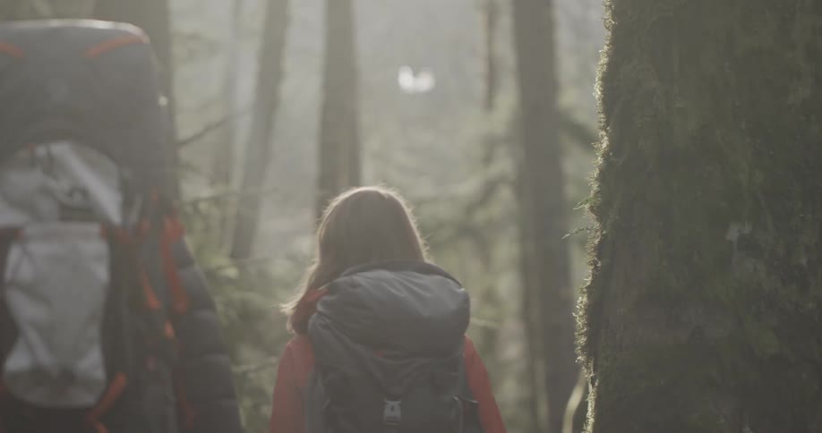 Young women hiking through the forest