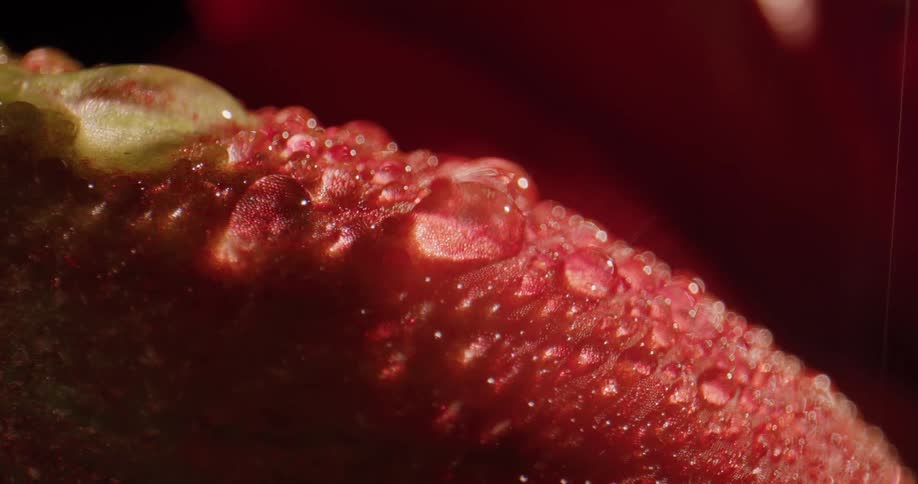 A red surface with water droplets