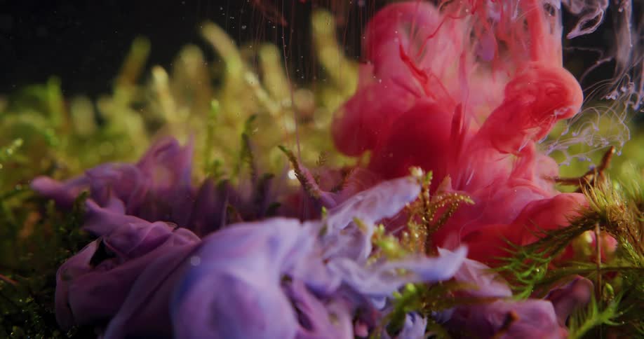 Colorful smoke falling on a fake plant