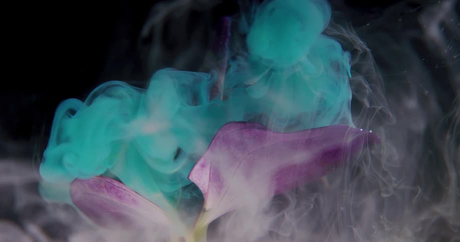 Turquoise smoke falls onto a purple flower surrounded by white smoke