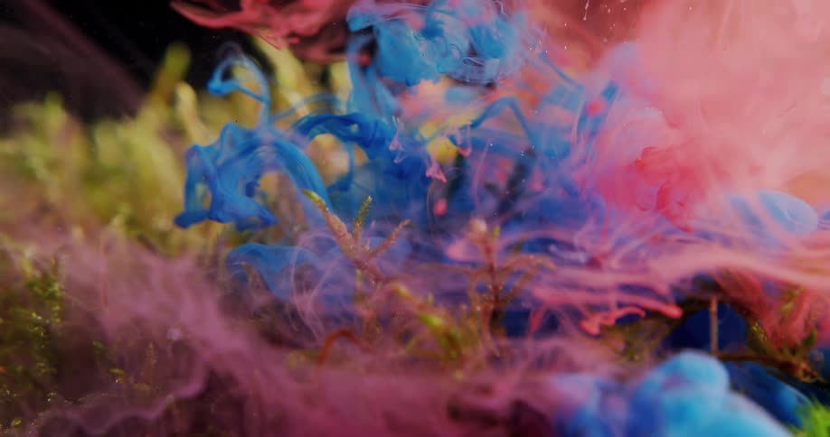 Plants with red liquid poured over it and pink smoke