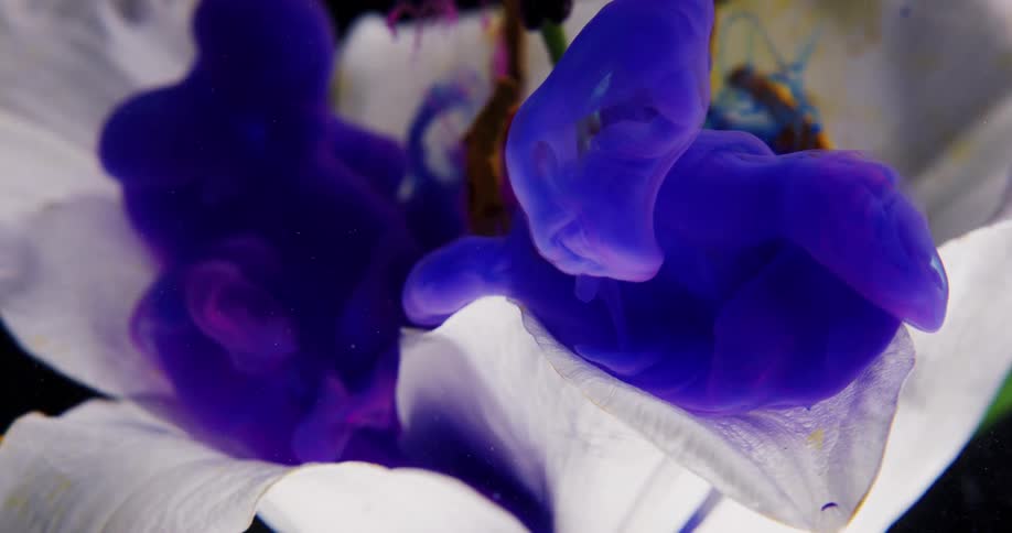 Blue and purple clouds cover and float around a white flower and stamen