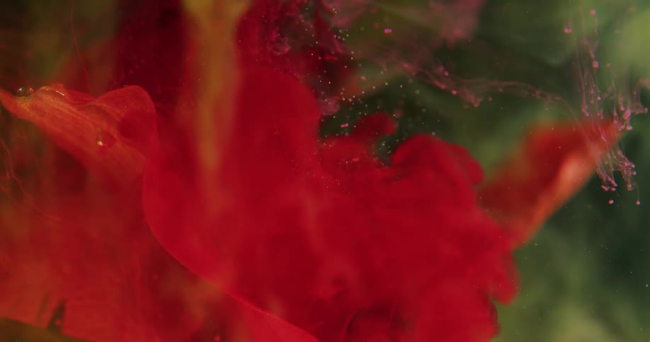 Red smoke is poured onto a pink flower floating in water and sends small seeds spreading out