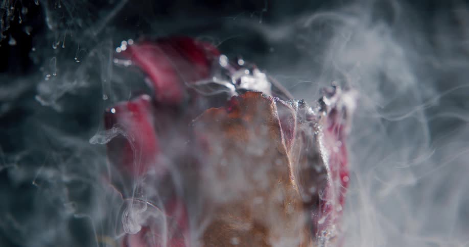 Dry red rose submerged in water surrounded by floating strands of white ink