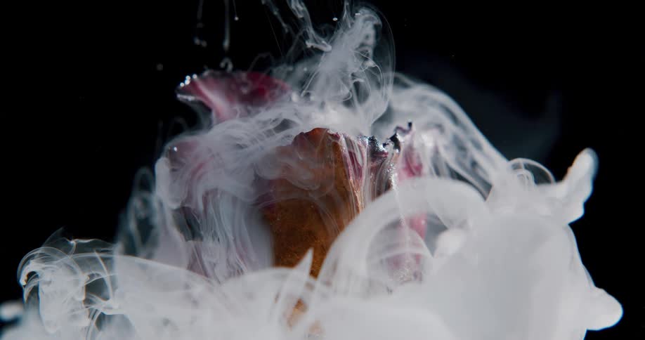 Abstract footage of smoke moving over a flower