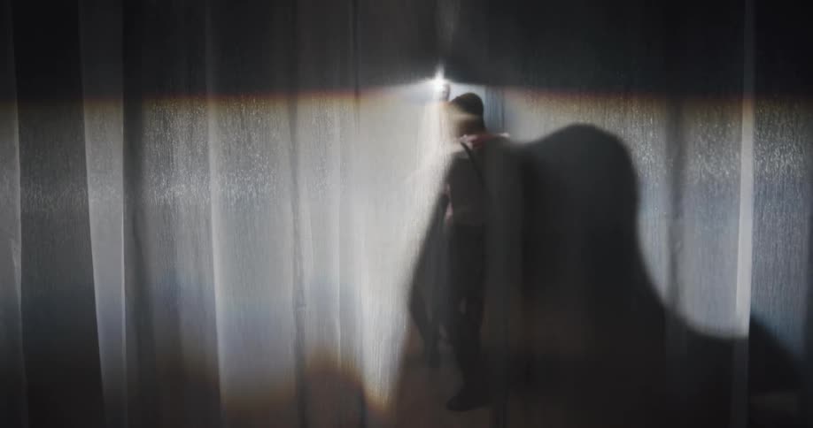 The shadows of two dances are cast upon a sheer fabric curtain as they begin to dance together