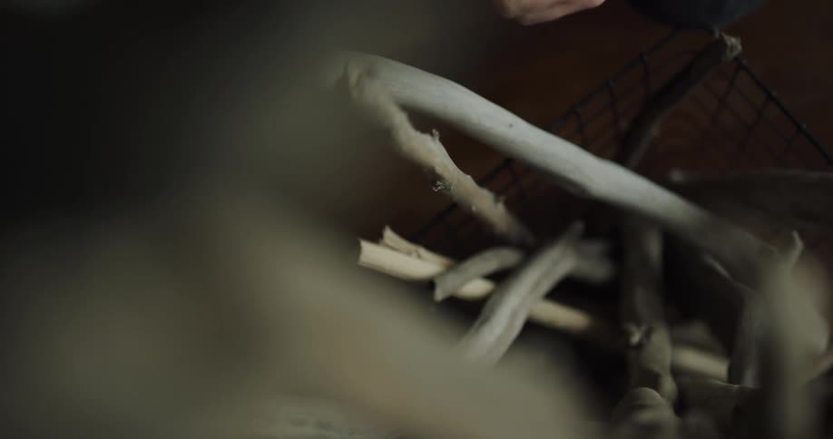 A person grabbing and comparing branches