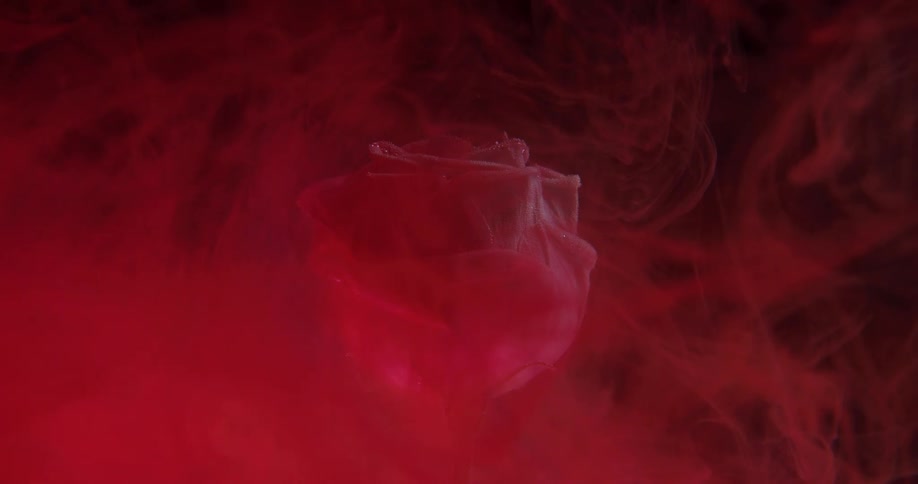 A rose that is covered in red smoke