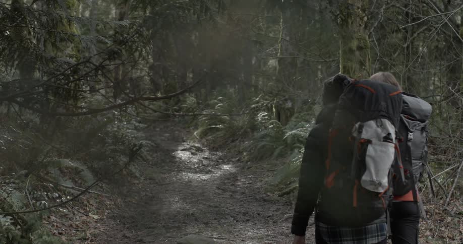 Two people hike in the woods