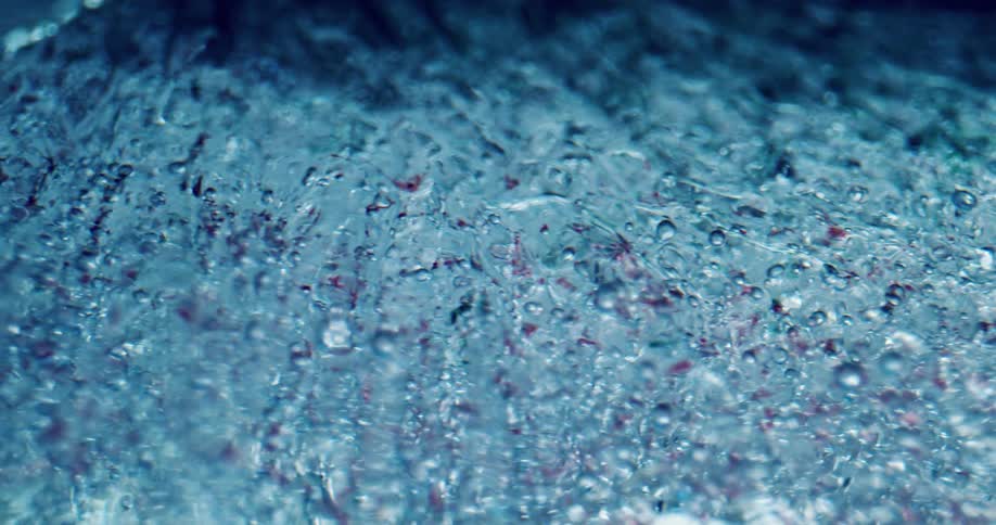 A close up of frozen ice crystals