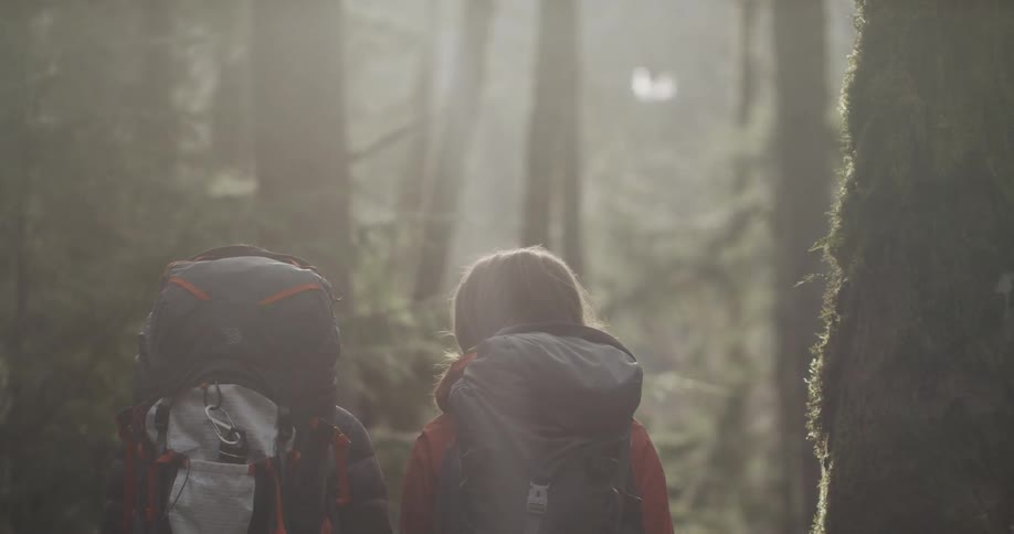 Two people stop as they hike in the forest
