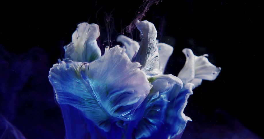 A flower is displayed in a surreal manner