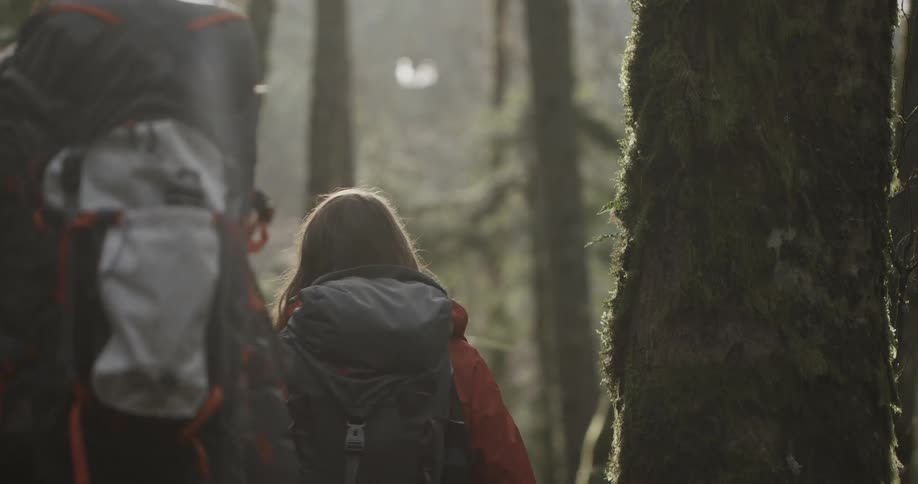 Two people are hiking in a forest
