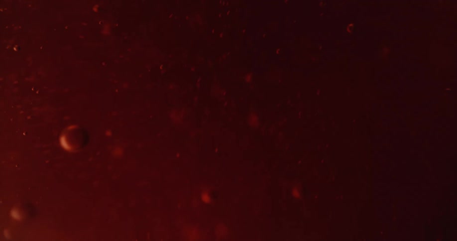 Bubbles of various sizes float and flow in red crimson liquid