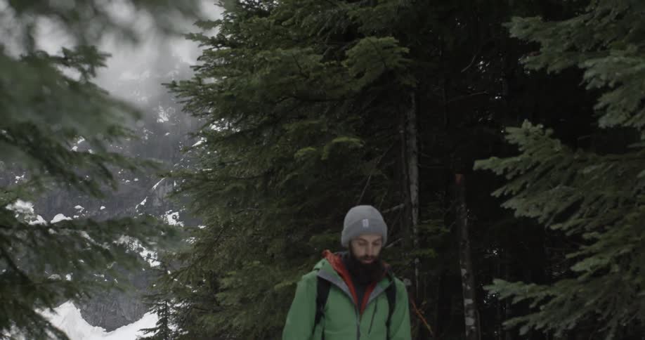 A man is hiking in the woods