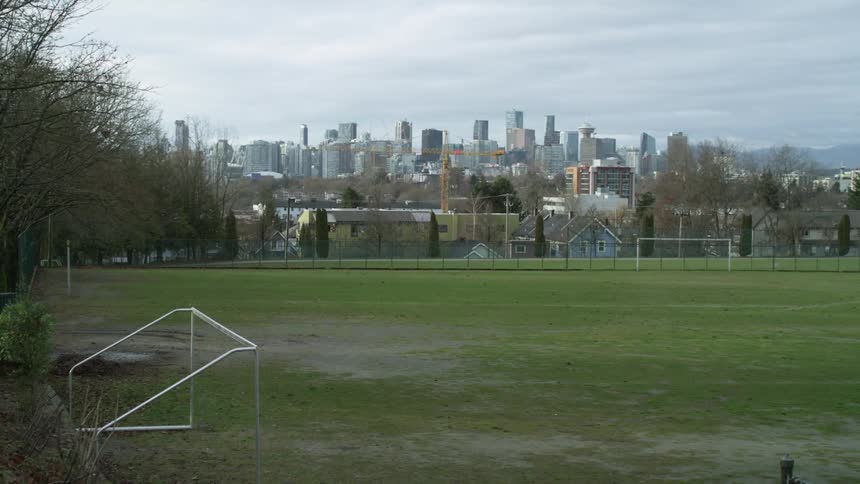 The green grass of a soccer field near the city skyline at daytime
