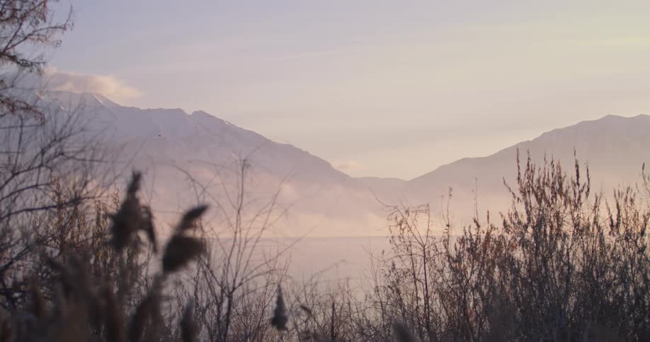Vegetation in a foggy flatland below a mountain at sunrise