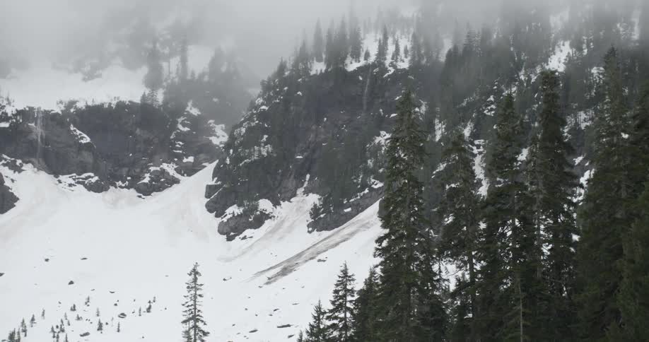A snow covered mountain forest