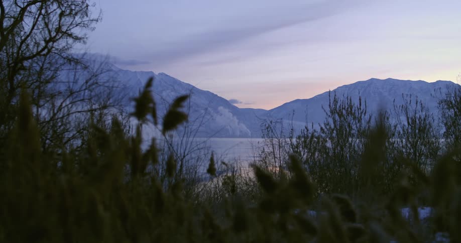 Green vegetation across a snowy field from a ridge of snow covered mountains in the evening